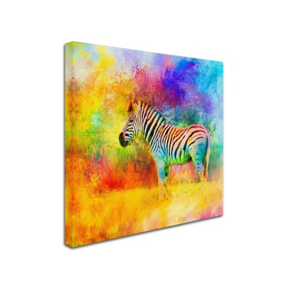 Jai Johnson 'Jazzy Zebra' Canvas Art,18x18